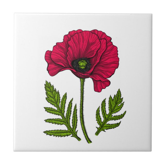 Red poppy drawing 3 tile (Front)