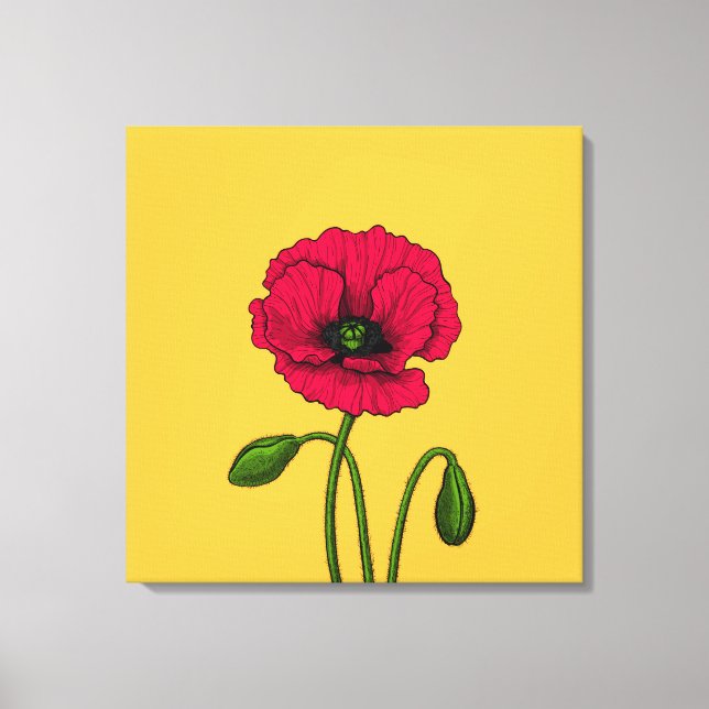 Red poppy drawing canvas print (Front)