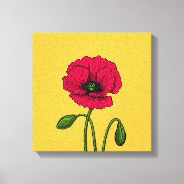Red poppy drawing canvas print (Front)