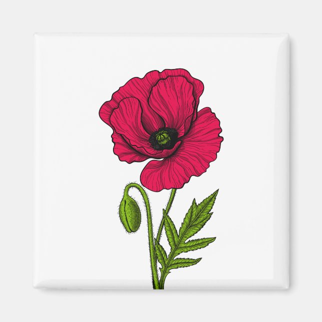 Red poppy drawing magnet (Front)