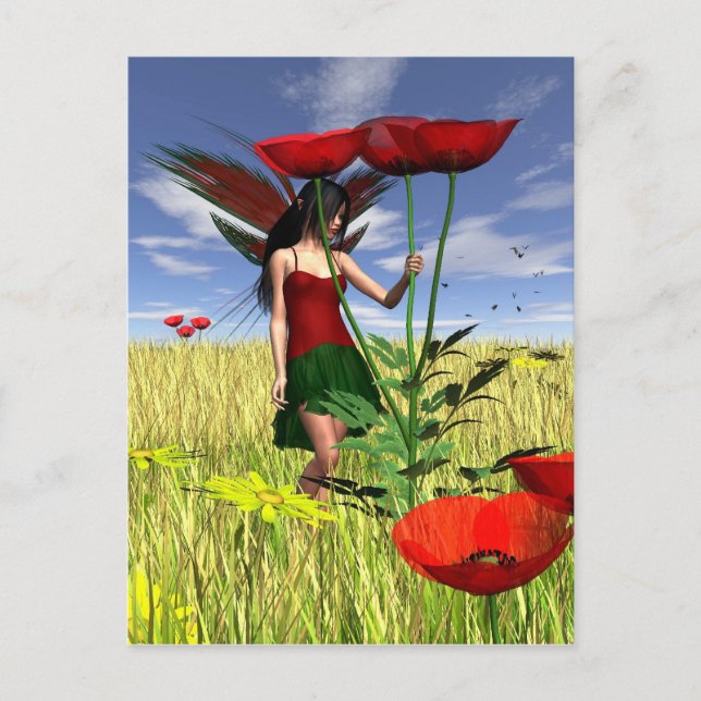 Red Poppy Fairy in a Summer Field Postcard (Front)