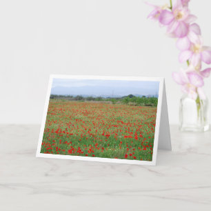 Red Poppy Field Card
