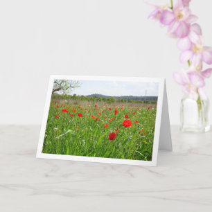 Red Poppy Field Card