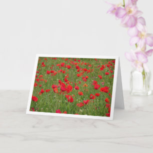 Red Poppy Field Landscape Card