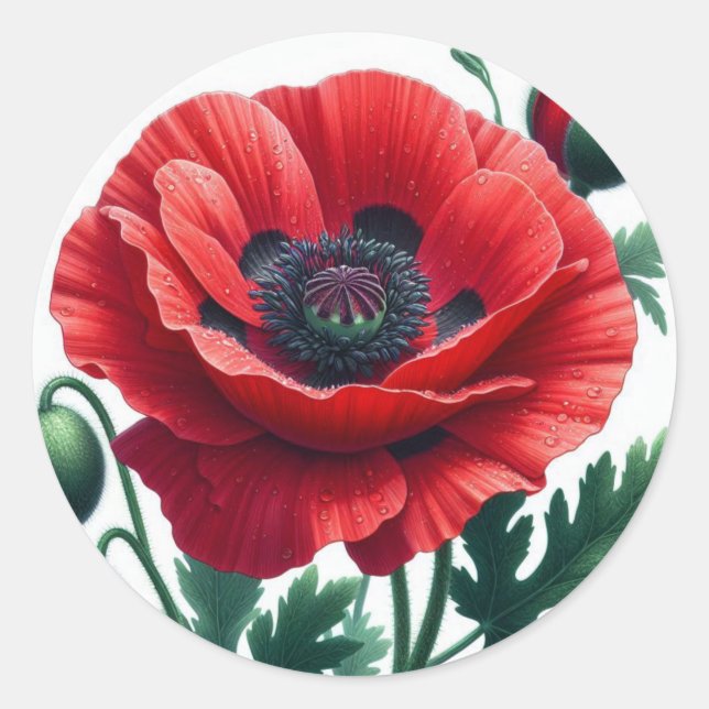 Red Poppy Floral Classic Round Sticker (Front)