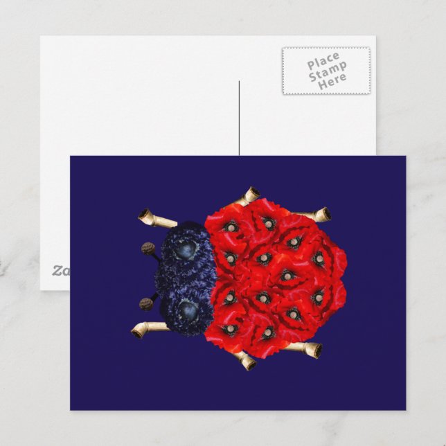 Red Poppy Flower Beetle Graphic Postcard (Front/Back)
