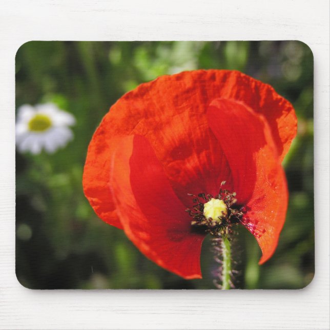 Red Poppy Flower Mousepad (Front)