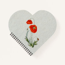 Red Poppy Flower