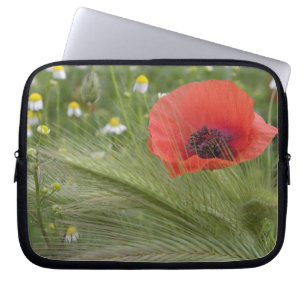 Red poppy flower, Tuscany, Italy Laptop Sleeve