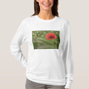 Red poppy flower, Tuscany, Italy T-Shirt