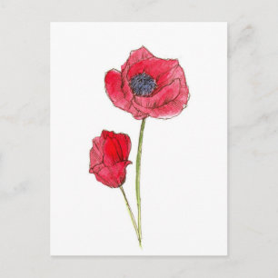 Red Poppy Flower Watercolor Botanical Art Postcard