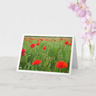 Red Poppy Flowers Card