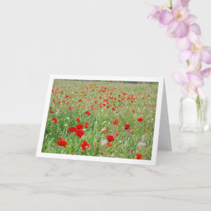 Red Poppy Flowers Card