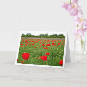 Red Poppy Flowers Card