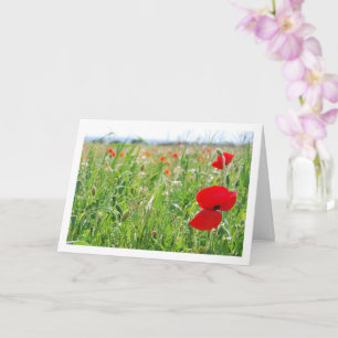 Red Poppy Flowers Card