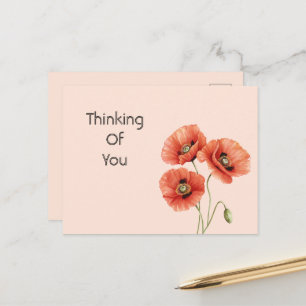 Red Poppy Flowers  Postcard