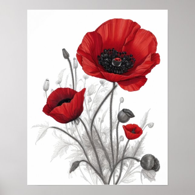 Red Poppy Flowers Poster (Front)