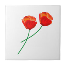 Red Poppy Flowers  