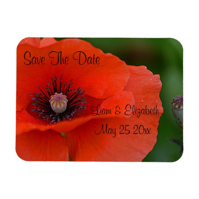 Red Poppy Formal Save The Date Magnet (Horizontal)