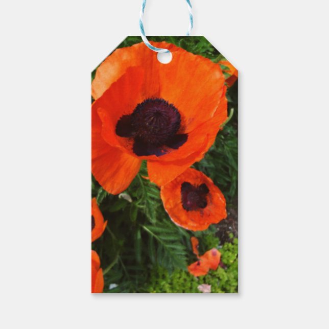 Red Poppy Gift Tags (Front)