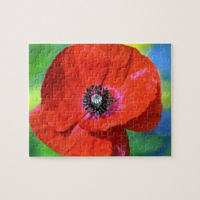 Red Poppy in the Sunshine Photograph Jigsaw Puzzle (Horizontal)