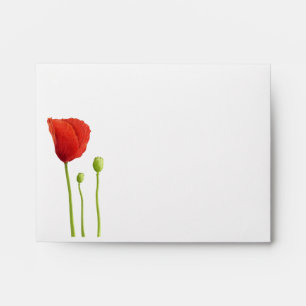 Red Poppy inside red Note Card Envelope
