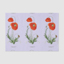 RED POPPY LAVENDER TISSUE PAPER