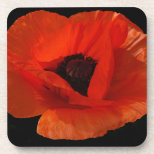 Red Poppy Macro Coaster