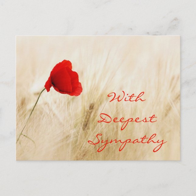 Red Poppy Open Field With Deepest Sympathy Postcard (Front)