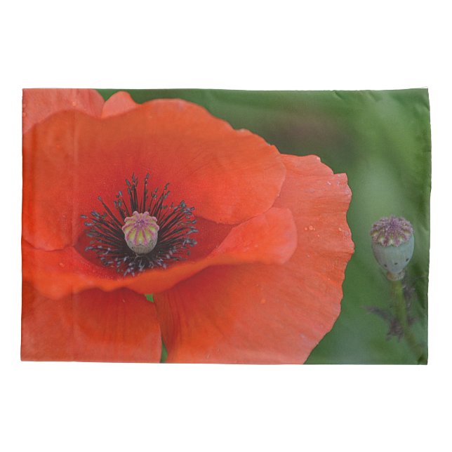Red Poppy Pillowcase (Back)