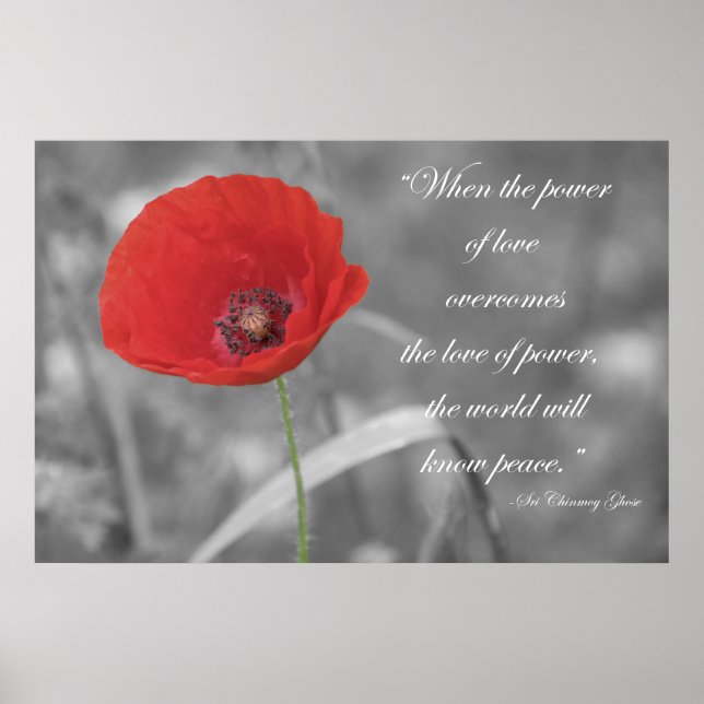 Red Poppy Poster Print (Front)