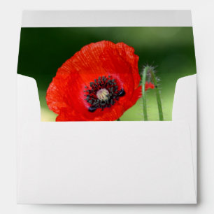 Red Poppy Seed Envelope A7 Greeting Card