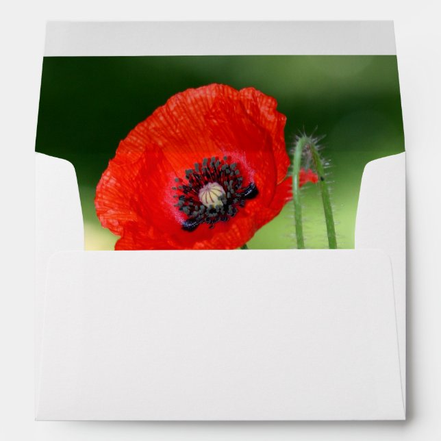 Red Poppy Seed Envelope A7 Greeting Card (Back (Bottom))