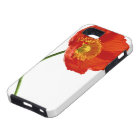 Red Poppy Simplicity