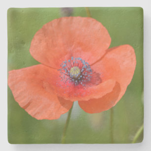 Red Poppy Stone Coaster