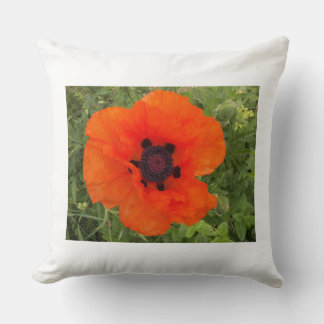 red poppy throw pillow