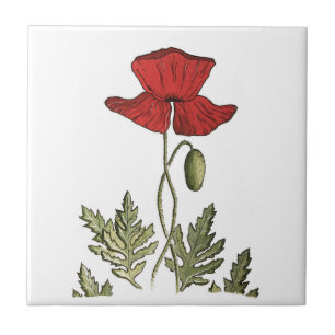 Red Poppy Tile
