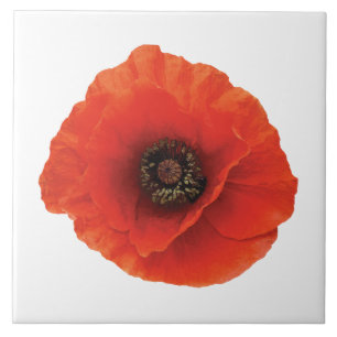 Red Poppy Tile