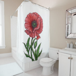 Red poppy, watercolor and ink
