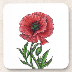 Red poppy, watercolor and ink coaster