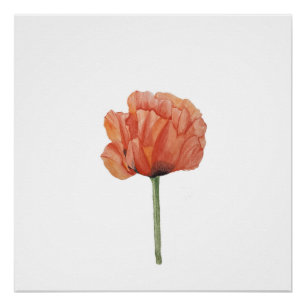 Red Poppy Watercolor Botanical Print