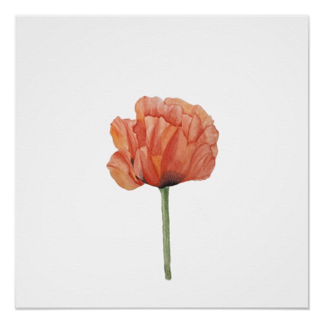 Red Poppy Watercolor Botanical Print (Front)