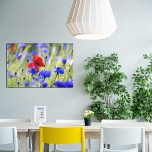 Red poppy wildflowers photo canvas print