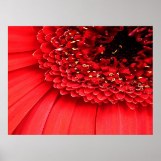 Red Poster