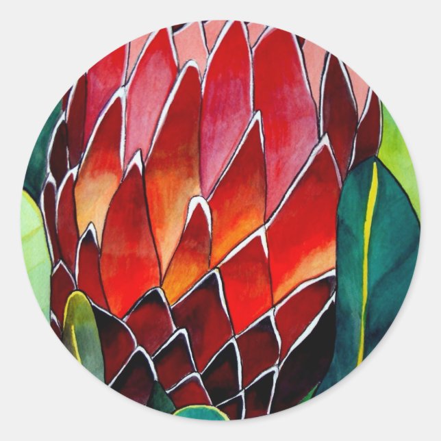 Red Protea flower original watercolour art Classic Round Sticker (Front)