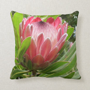 Red Protea Throw Pillow