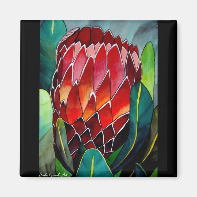 Red Protea watercolour flower original art Magnet (Front)