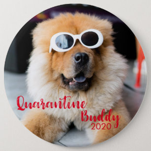 Red Quarantine Buddy Dog Photo Button