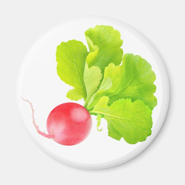 Red radish magnet (Front)