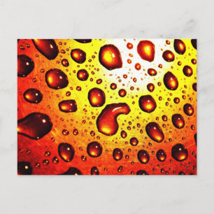 Red Rain Drops Postcard